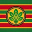 Disastrous Response – HAWAIʻI FIRST Avatar