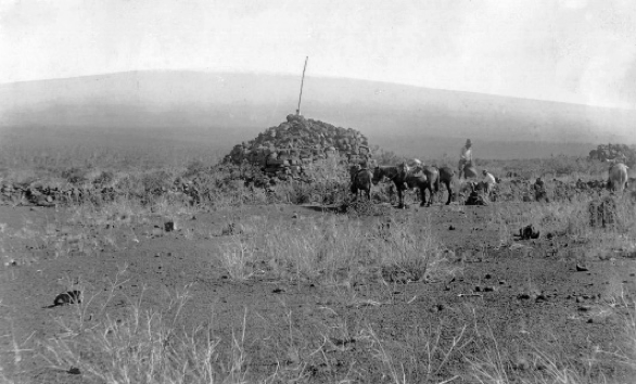 Destroyed and abandoned heiau of ʻUmi-a-Līloa,  the first aliʻi nui to unify Hawaiʻi island.