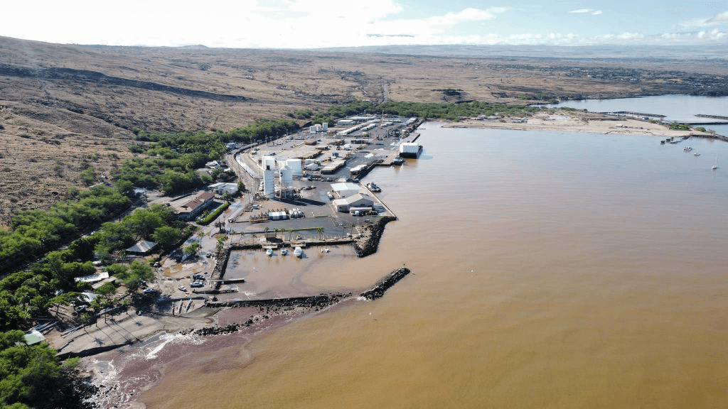 The Other Killers:  More Than Cesspools Destroy Coral&nbsp;Reefs